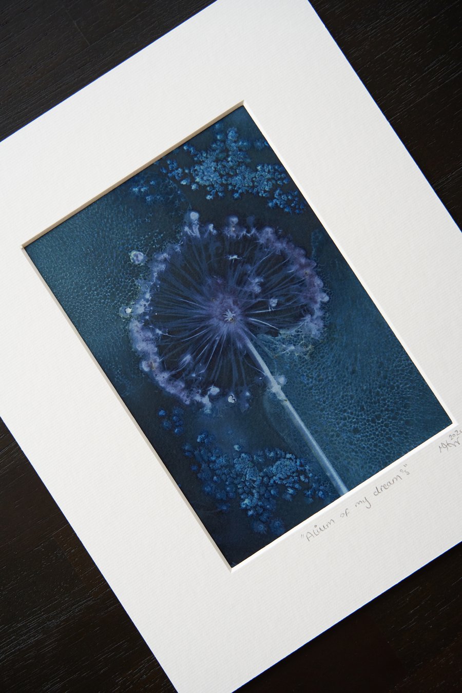original wet cyanotype print entitled "Allium of my dreams" in 12x10 inch mount