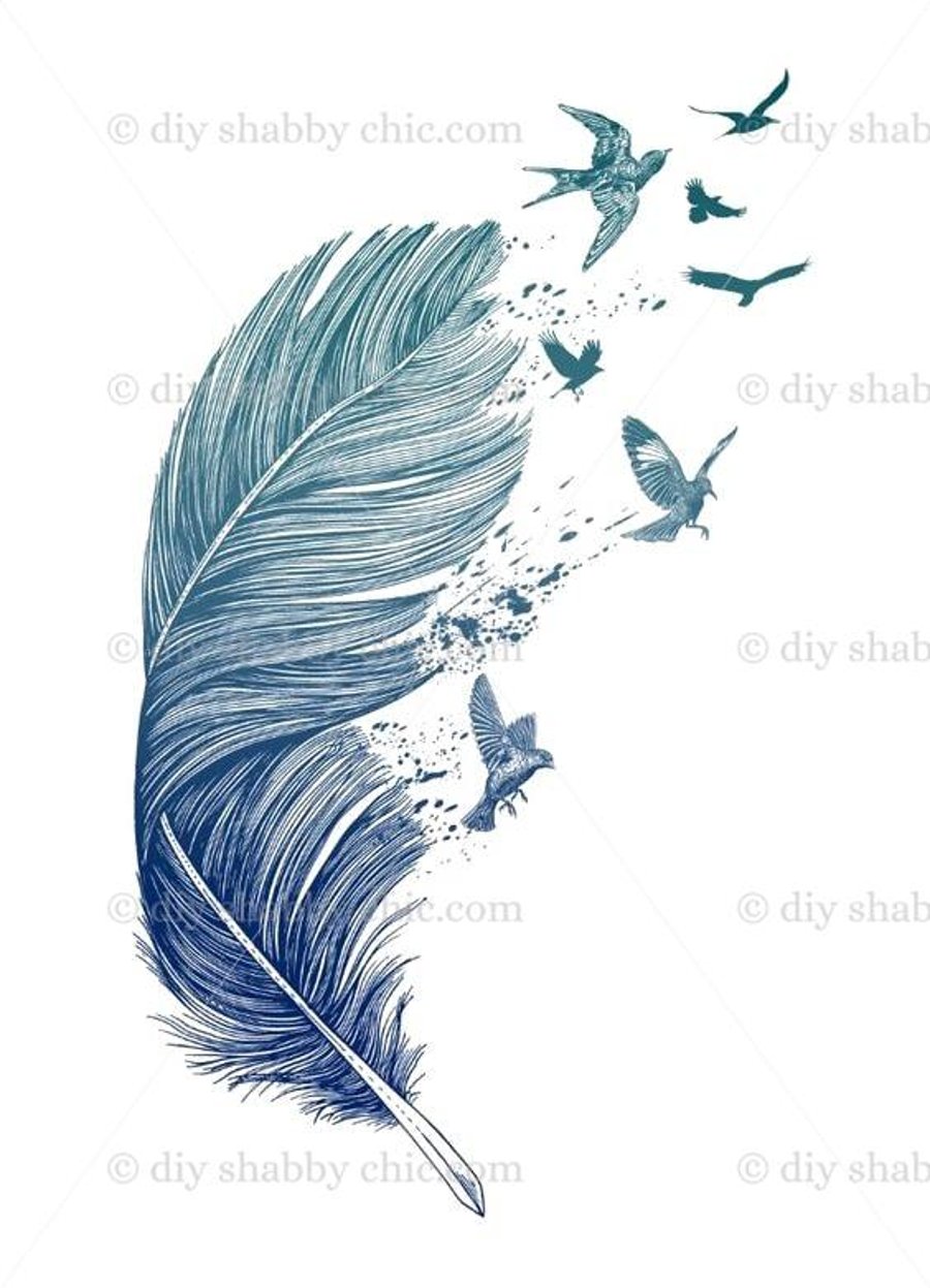 Waterslide Wood Furniture Decal Vintage Image Transfer Shabby Chic Bird Feather