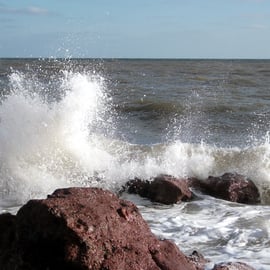 Shaldon Beach 