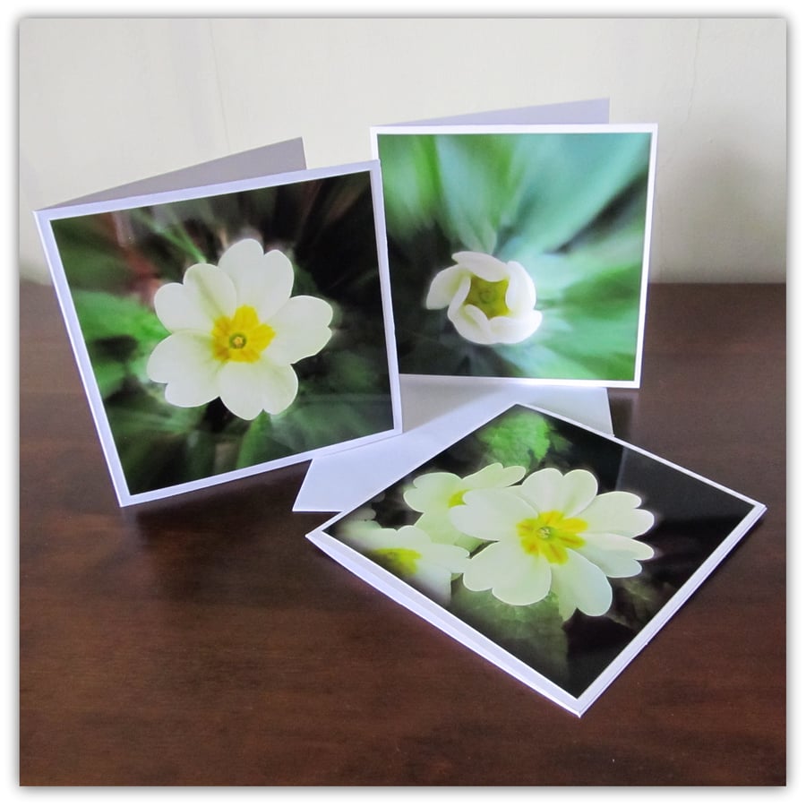 Set of three cards.  Primrose in bloom.