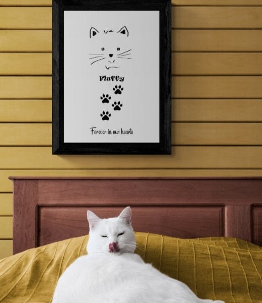 Cat pet loss memorial framed print