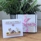 Summer Seconds Get Well Soon Card With Removable Wooden Cottage Gift
