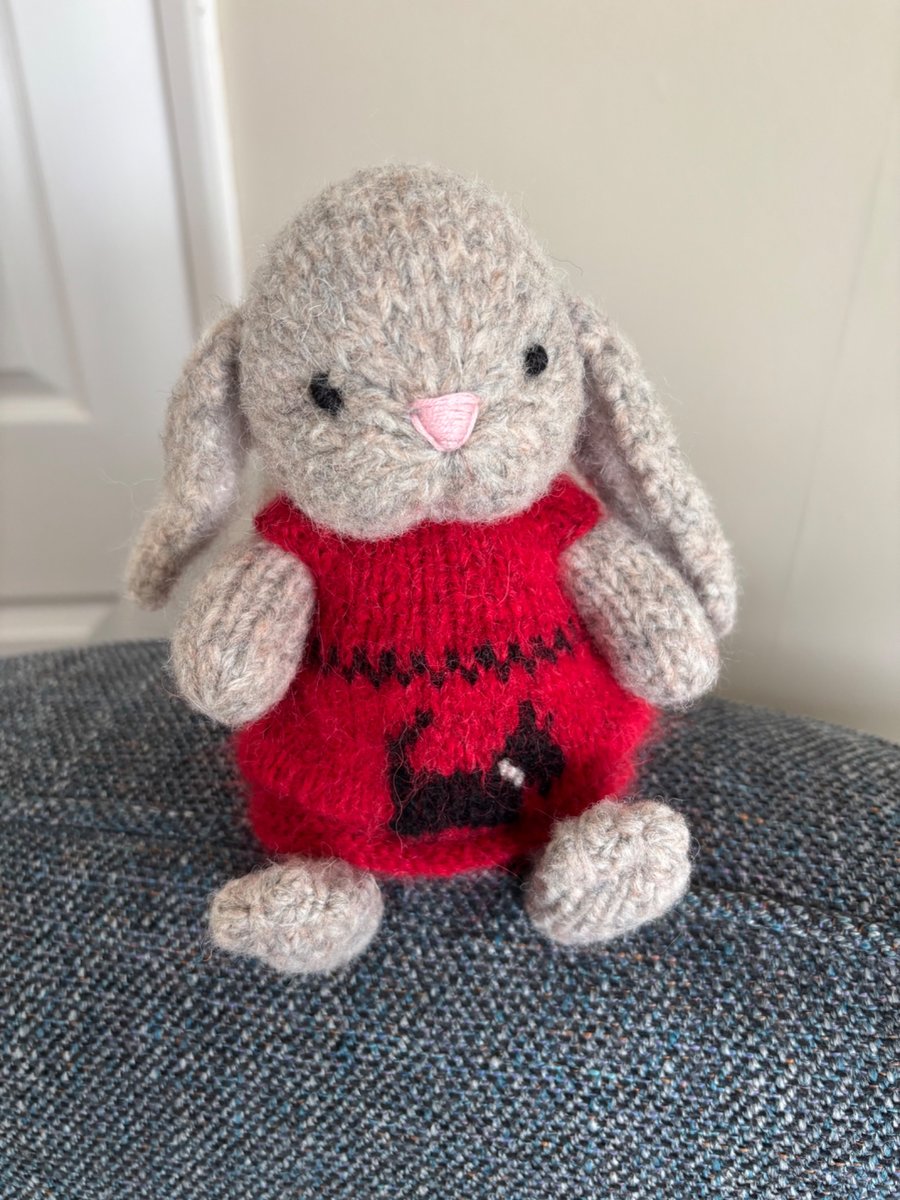 Rosy, little bunny from a pattern by Elves World.