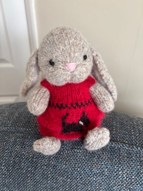 Rosy, little bunny from a pattern by Elves World.