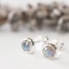 Labradorite rose cut stud earrings