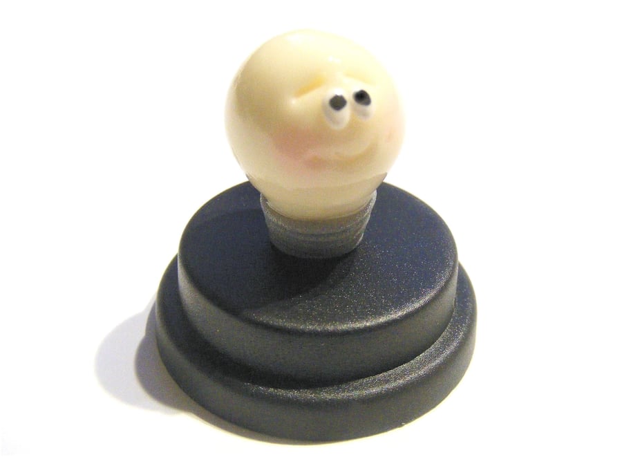 Pet Light Bulb, Glow in the dark bulb pet, bright spark, you light up my life