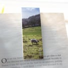 Scotland Countryside Photo Magnetic Bookmark - Handmade Scottish Gifts