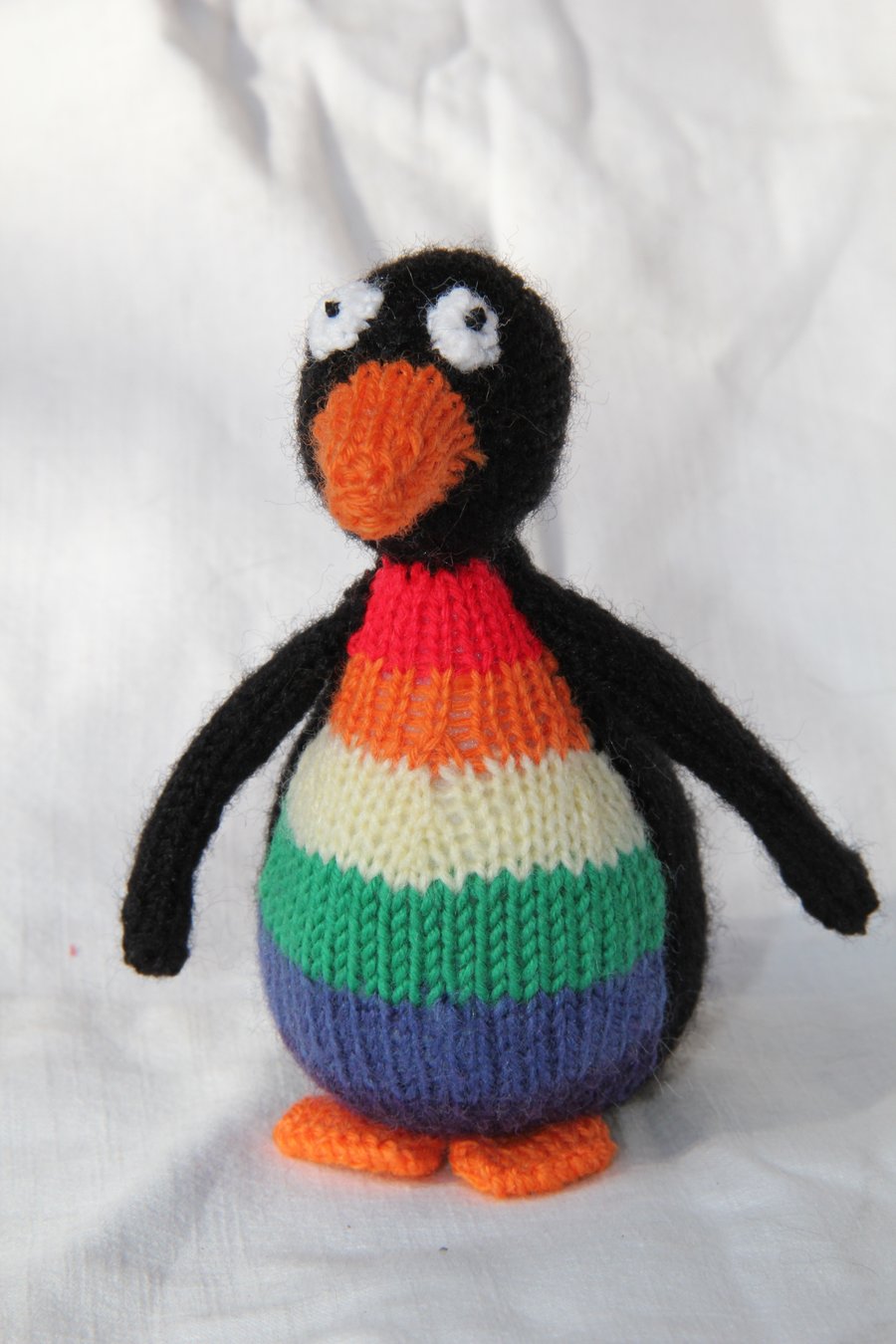 Rainbow Waistcoat Penguin