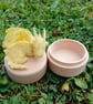 Buttercup Dragon Trinket Box - Image 5