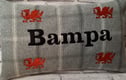 Welsh Cushions