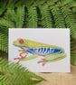 Red-eyed tree frog