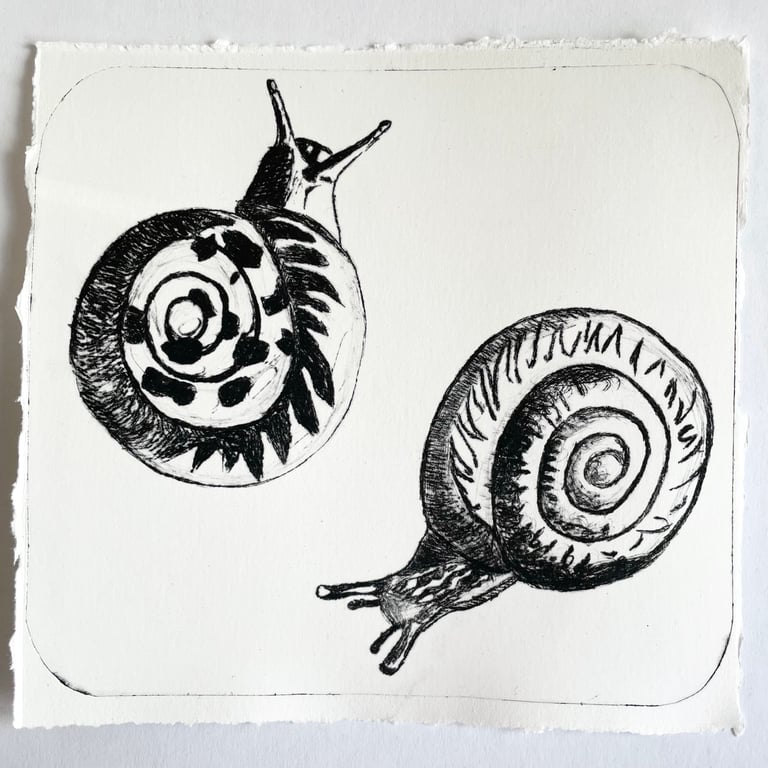 Snails Drypoint Print