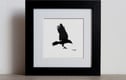 Original crow drawings