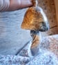 ceramic hanging mushroom brown large