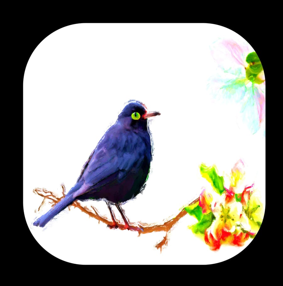 Blackbird on a Brach with Soft Flowers