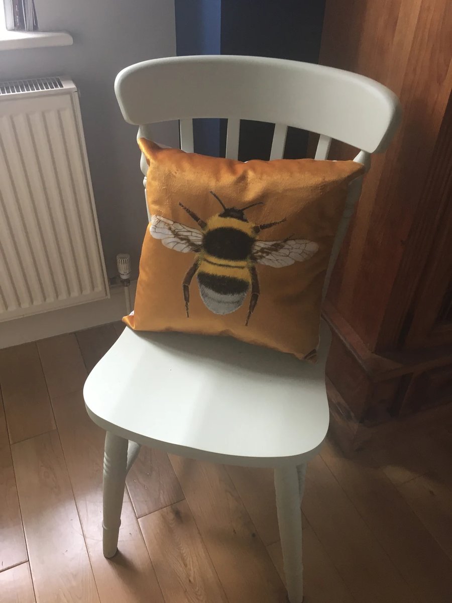 Bee Cushion