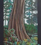 Trunk of a Wellingtonia Tree, Isle of Arran, Scotland.  Landscape art - Image 6