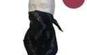 Luxury Silk Scarves & Stoles