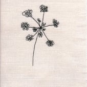 driftwood and daisies