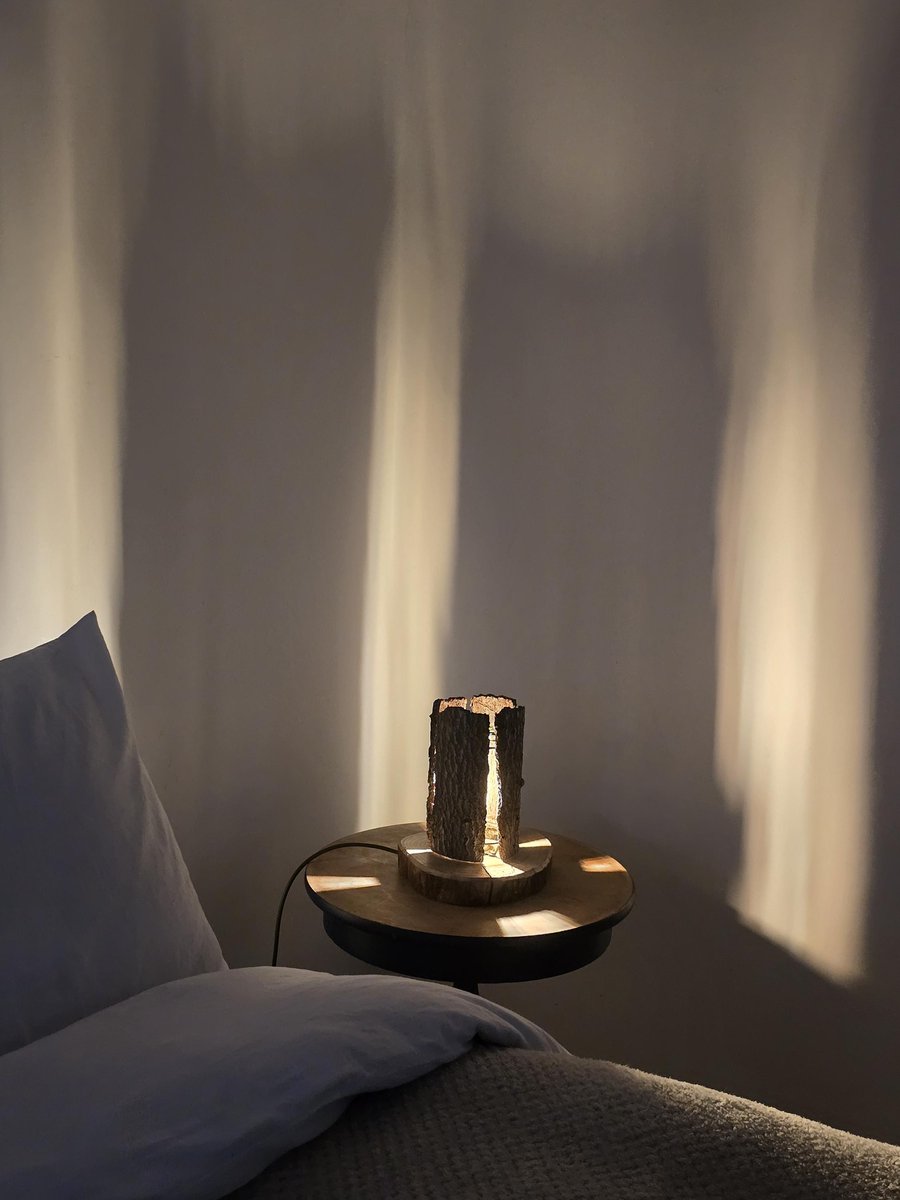 Image of Rustic handcrafted Tree Bark Table Bedside Lamp