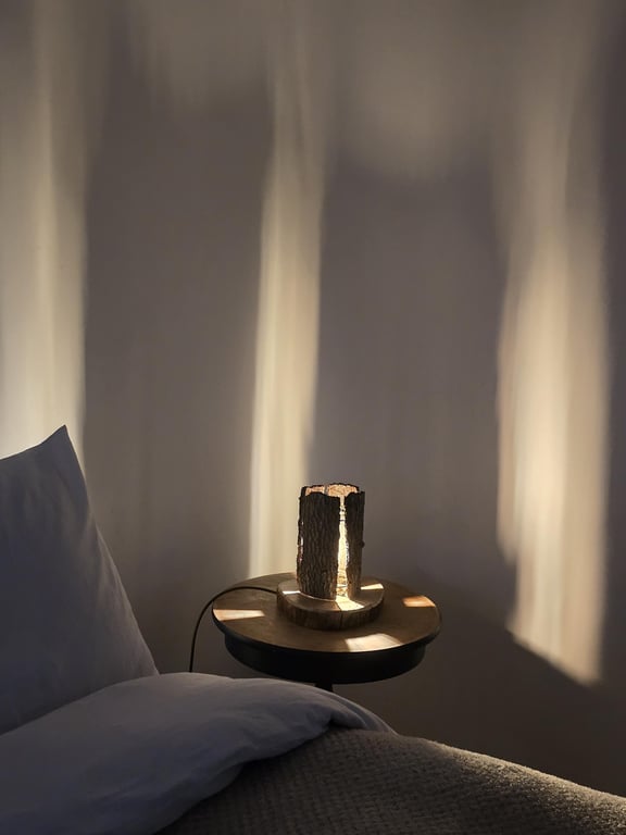 Rustic handcrafted Tree Bark Table Bedside Lamp