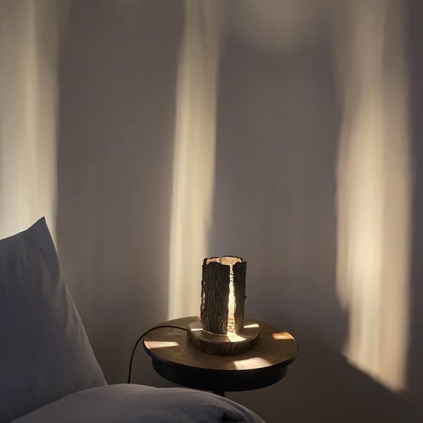 Rustic handcrafted Tree Bark Table Bedside Lamp