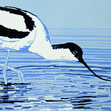 Avocet Bird  - Original, Hand Pulled, Limited Edition Linocut Reduction Print