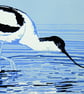 Avocet Bird  - Original, Hand Pulled, Limited Edition Linocut Reduction Print