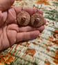 Serial killer trophy sliced off nipple earrings  - Image 1