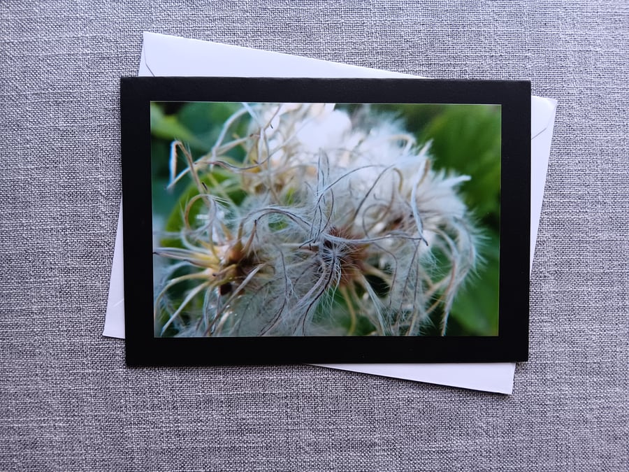 Black Perfectly Imperfect Photographic Card Old Man's Beard 7" x 5" 
