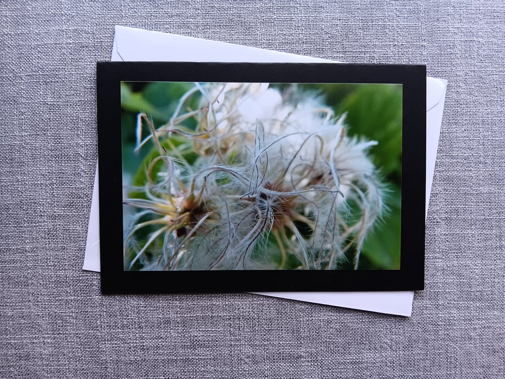 Black Perfectly Imperfect Photographic Card Old Man's Beard 7" x 5" 