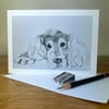 Spaniel dog cute blank greeting card for dog lovers. Seconds Sunday.