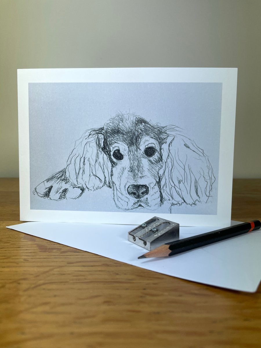 Spaniel dog cute blank greeting card for dog lovers. Seconds Sunday.