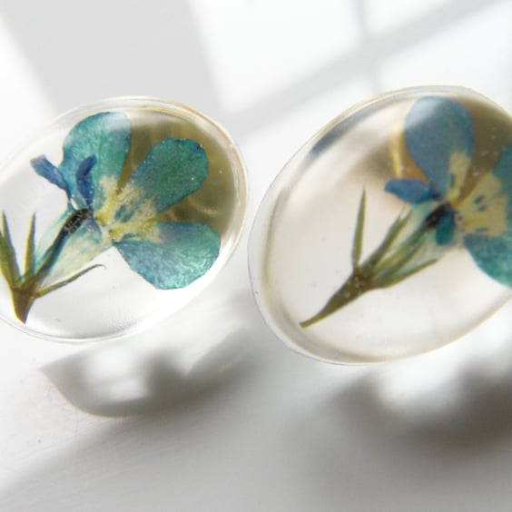 Flower Earrings Real Flower Lobelia
