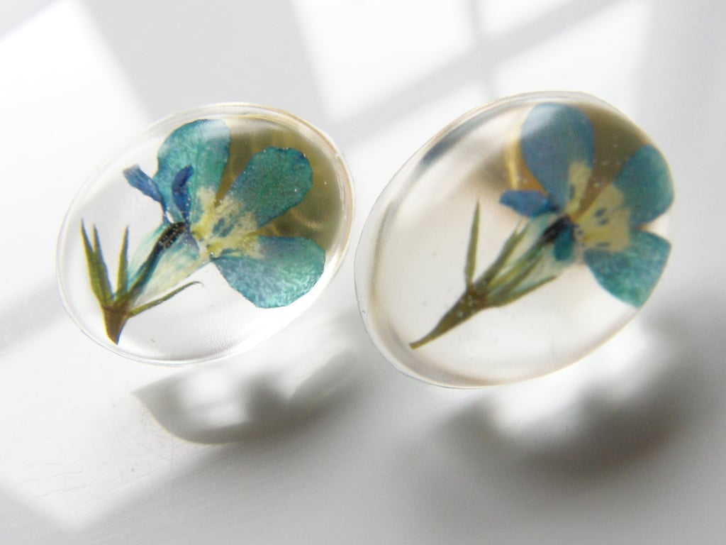 Flower Earrings Real Flower Lobelia