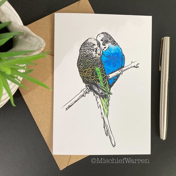 Budgie Card; Birthday, Blank or Personalised Budgerigar card for any occasion.