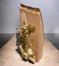 Handcrafted Red Oak Coastal Wooden Display Plaque with Sea Shells & Driftwood  - Image 2