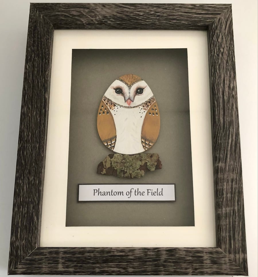 Barn owl box frame picture