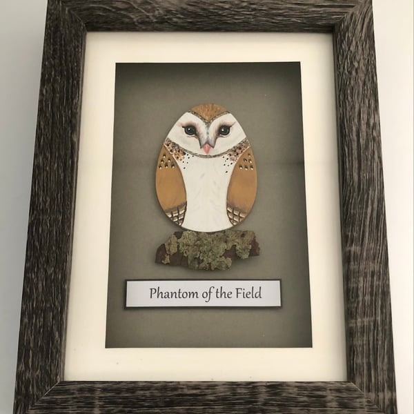 Barn owl box frame picture