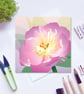 Pink Flower Card Collection - Lacecap Hydrangea, Echinacea. Peony, Nerine - Image 4