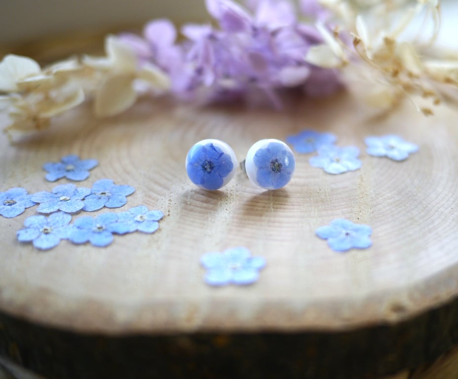 Real Forget-Me-Not and Resin Stainless Steel Stud Earrings