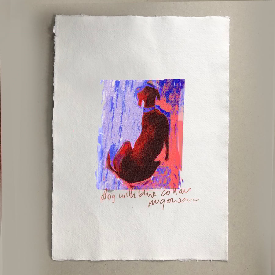 Dog with Blue Collar