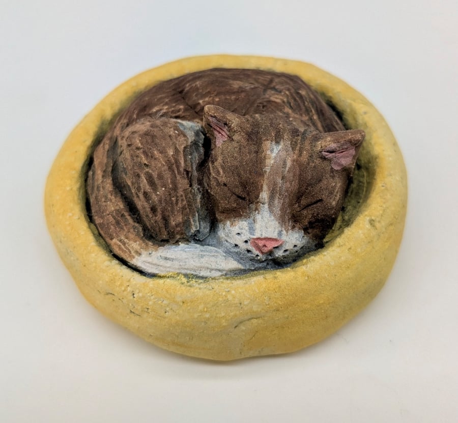 Yorkshire Pudding Cat - Tabby in Yellow Bed