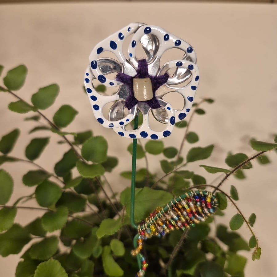 White, blue spotted & purple flower plant companion perfect for pot plants