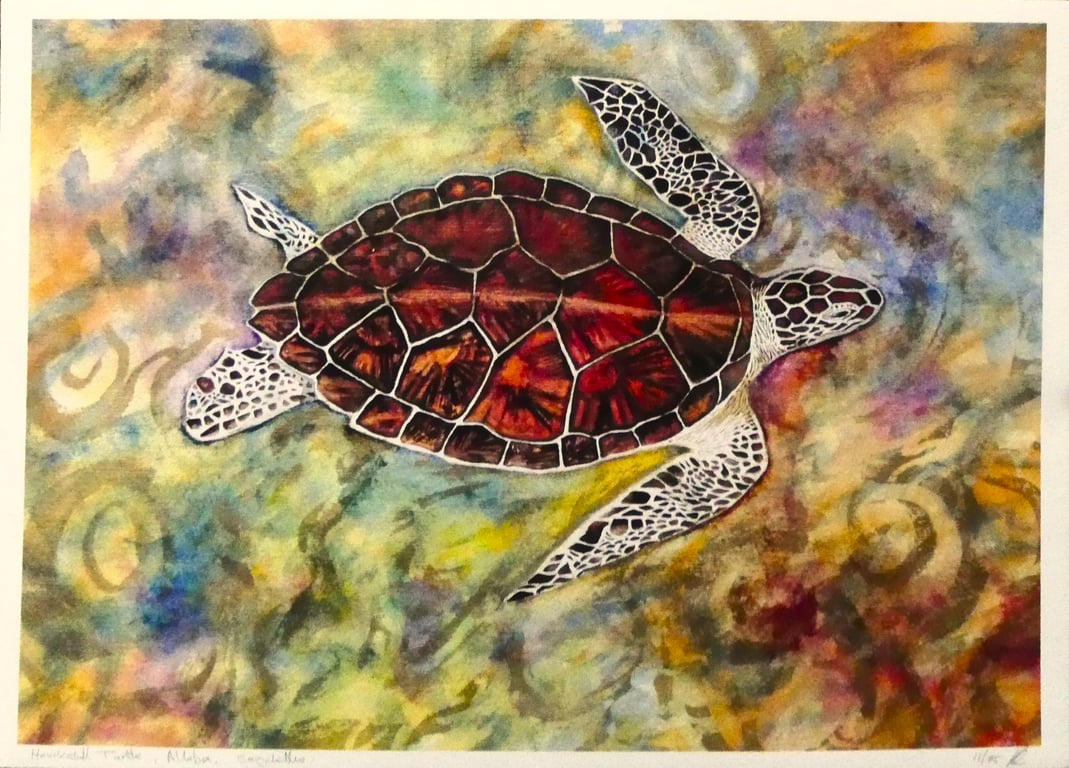Hawksbill Turtle Print from Original Watercolour Painting