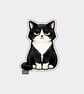 Funny Snarky Vinyl Sticker For Adults - Grumpy Cat
