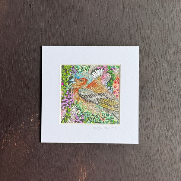 'Chaffinch' 5" x 5" Hand Finished Print