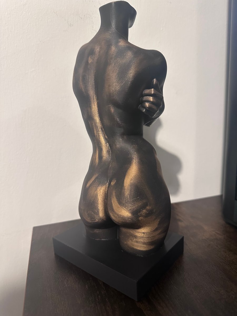3D Printed, Hand Finished Abstract Art Womans Torso