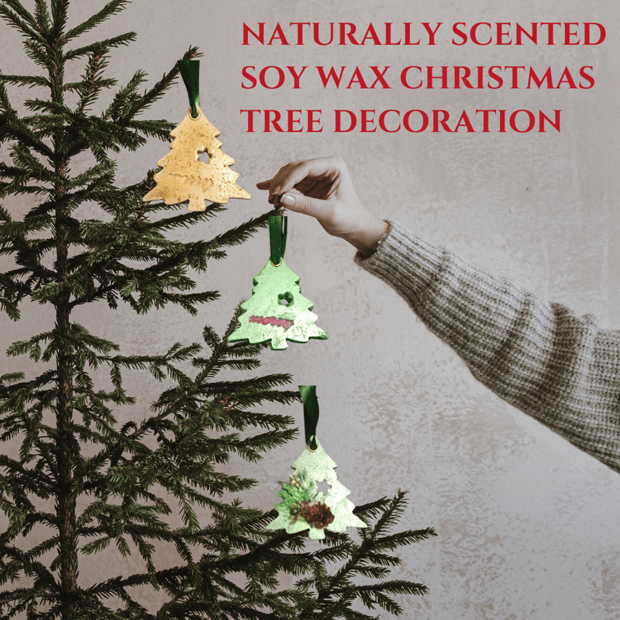 Naturally Scented  Pine Needle Soy Wax Tree Decorations - Set of 3