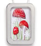 Toadstools, mushrooms - Image 1